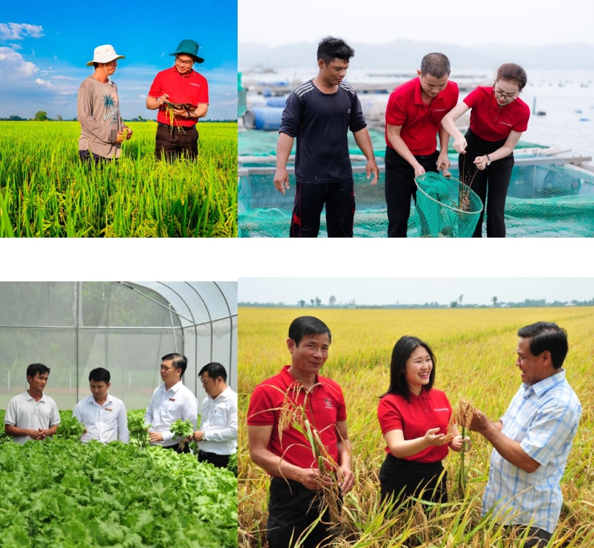 Agribank đồng hành cùng tam nông